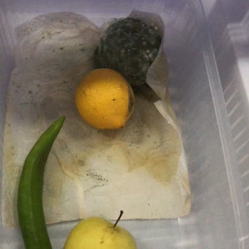 Vestel Buz Dolabım Yiyeceklerimi Çürüyor