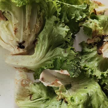 Migros Bayat Ekmek Çürük Kıvırcık Pişmanlığı