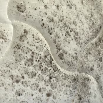 İşbir Yatak Mobilya Ve Yatak Firmalarının Sorumluluk Almayışı