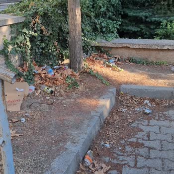 Tokat Belediyesi 600 Evler Mahallesindeki Boş Alanın Temizliği İçin Acil Yardım Talebi