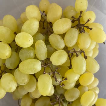 Carrefour SA Markette Yanlış Ürün Barkoduyla Fazla Ücret Alınıyor!