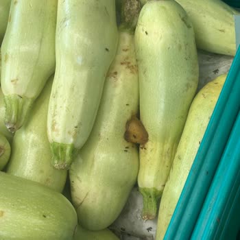 Şok Marketler Şok Marketin Meyve Sebze Bölümünde Hijyen Sorunu
