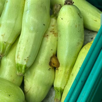 Şok Marketler Şok Marketin Meyve Sebze Bölümünde Hijyen Sorunu