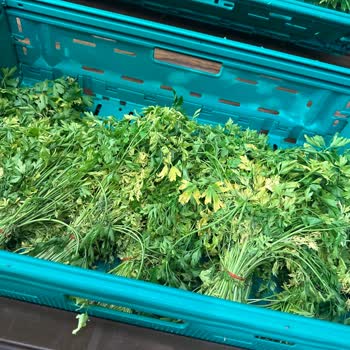 Şok Marketler Şok Marketin Meyve Sebze Bölümünde Hijyen Sorunu