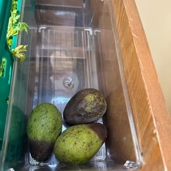 Şok Marketler Şok Marketin Meyve Sebze Bölümünde Hijyen Sorunu