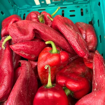 Şok Marketler Şok Marketin Meyve Sebze Bölümünde Hijyen Sorunu