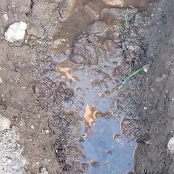 Balıkesir Büyükşehir Belediyesi Balıkesir Belediyesi Çalışmıyor Baskı Kaçak Su Sorununu Çözmüyor