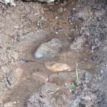 Balıkesir Büyükşehir Belediyesi Balıkesir Belediyesi Çalışmıyor Baskı Kaçak Su Sorununu Çözmüyor