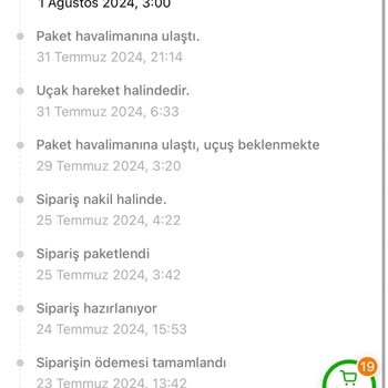 Temu Siparişim Hala Gümrükte