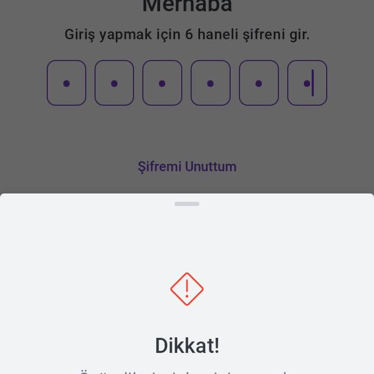 Tom Pay Hadi Uygulama Giriş Yapamıyorum