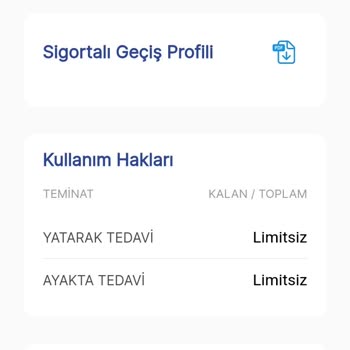 Magdeburger Sigorta Hastahanede Aktif Gözükmeyen Magdeburger Tss Police