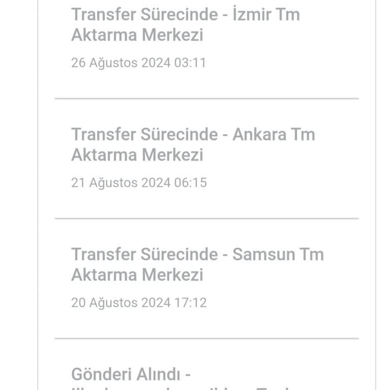 hepsiJET Kaplumbağa Hızında Kargo Firması