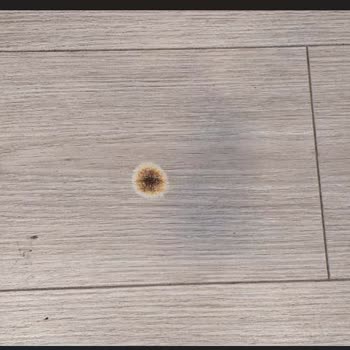 Arçelik Buzdolabı ve Servis Sorunları: Yanmış Motor, Hasarlı Parke ve Kurtlu Teslimat