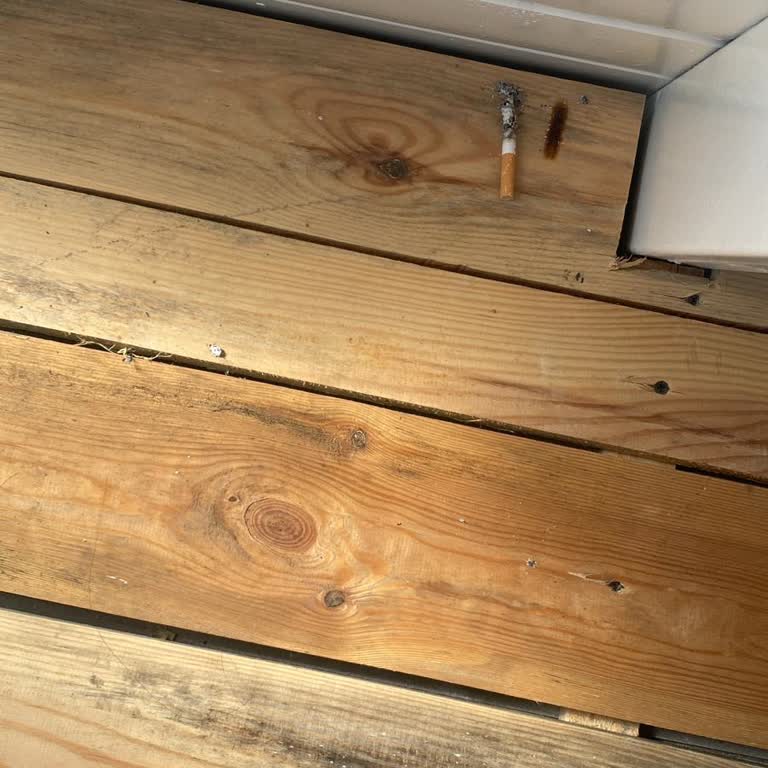 Sapanca Country Club'da Hijyen Ve Müşteri Memnuniyeti Sorunu