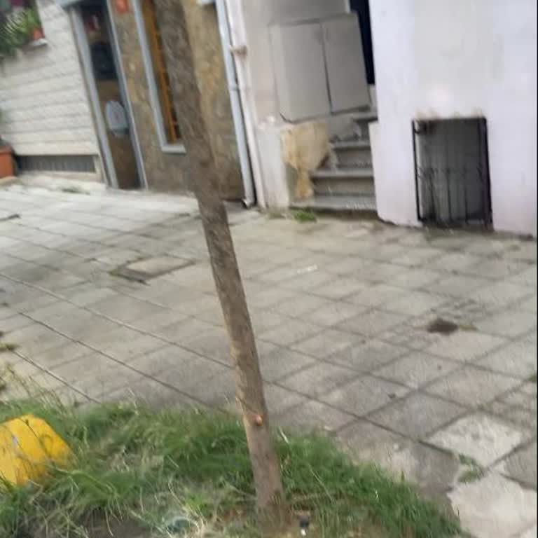 Kadıköy Belediyesi Rasimpaşa Mahallesinde İşten Kaçıyor