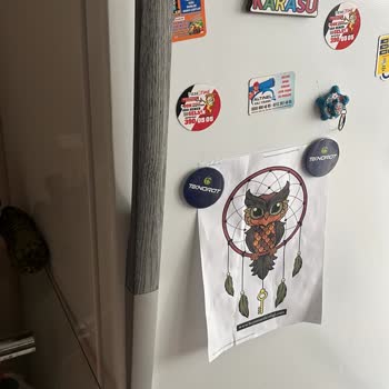 Arçelik Buzdolabı Kapı Kolu Sorunu: Çözüm Bekliyoruz