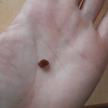 Nut Master Yer Fıstığından Sert Kabuklar Çıkıyor