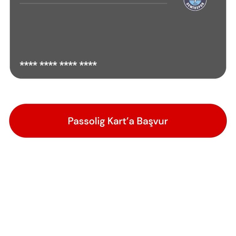 Passolig Onay Süresi Ne Kadar Sürüyor