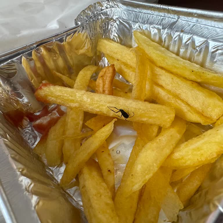 Trendyol Yemek Yemekten Böcek Çıktı