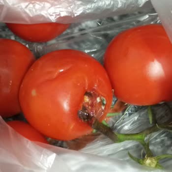 Migros Hijyen Açığı Ve Kural İhlali - Size Çöp Satıyorlar!