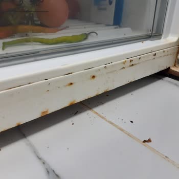 Vestel Buzdolabı Çürükten Geçilmiyor