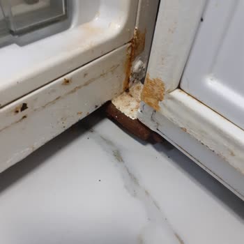 Vestel Buzdolabı Çürükten Geçilmiyor