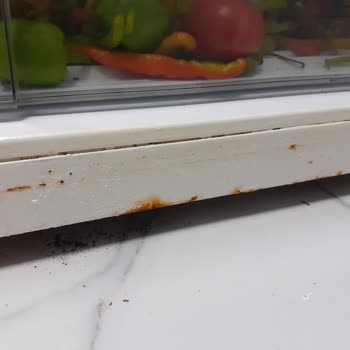 Vestel Buzdolabı Çürükten Geçilmiyor