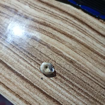 BİM Kavrulmuş Çekirdekte Şok Eden Sürpriz