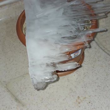 Vestel Servis Ve Müşteri Hizmetleri İlgisizliği