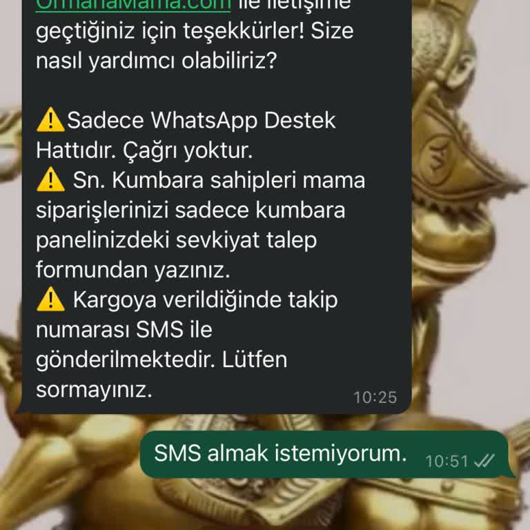 Ormana Mama Sürekli SMS Rahatsızlığı: Bağış Kararımı Gözden Geçiriyorum