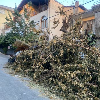Buca Belediyesi Şikayet,15 Gündür Evimin Önündeki Bundanmış Alınmıyor