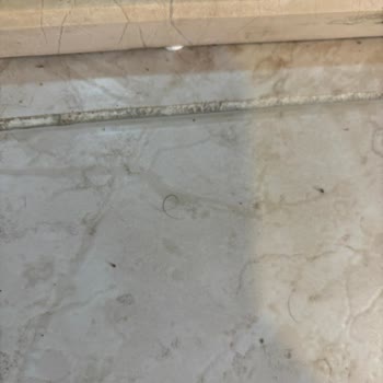 Crystal Hotels Yaşadığımız En Kötü Tatil Deneyimi Crystal Paraiso Verde