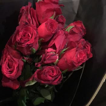 Çiçek Sepeti Şikayet