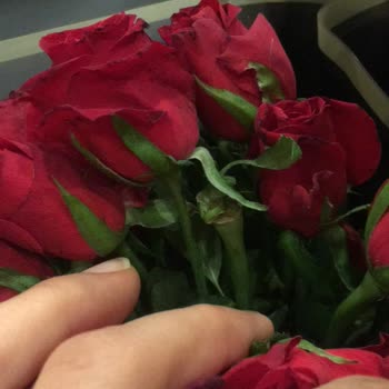 Çiçek Sepeti Şikayet