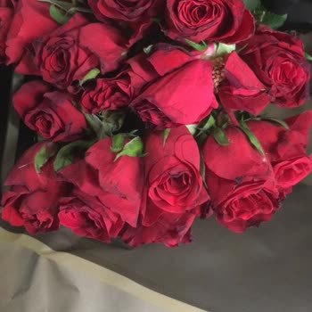 Çiçek Sepeti Şikayet