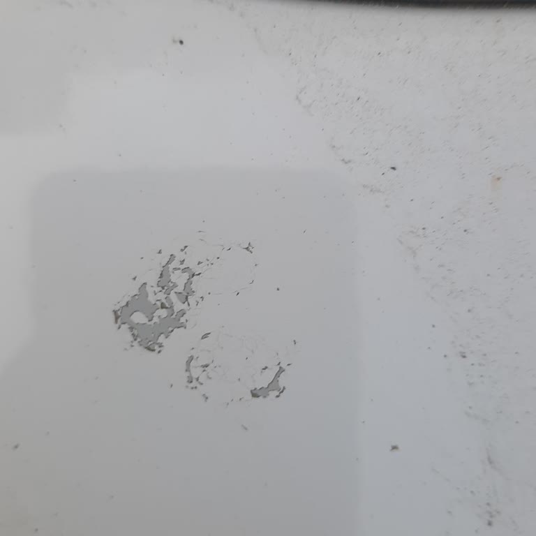 Peugeot Rifter'ın Tavan Boyası Sorunu