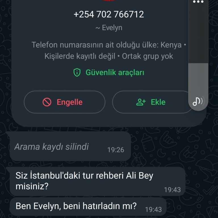 WhatsApp +254 Kodlu Numaralardan Aranıyorum