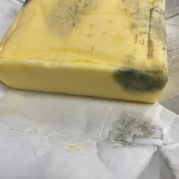 Pınar Et ve Süt Marketten Aldığım Tereyağında Küf Sorunu