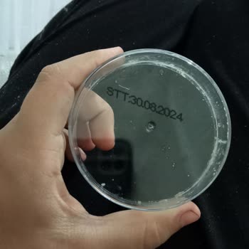 Gross38 Marketler Zinciri Çilekli Kupun Tadı Bozuk Ve Acıydı