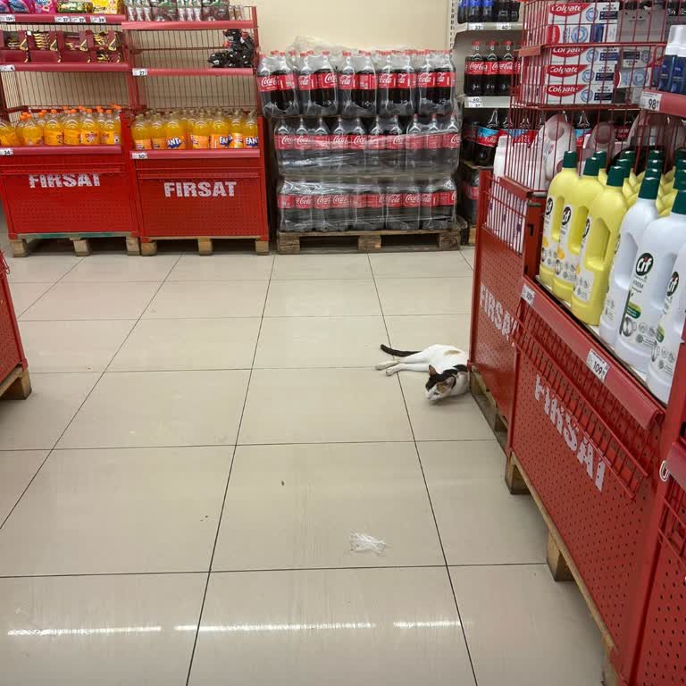 Şok Marketler İnanılmaz Şok Edici Manzara Şok Markette