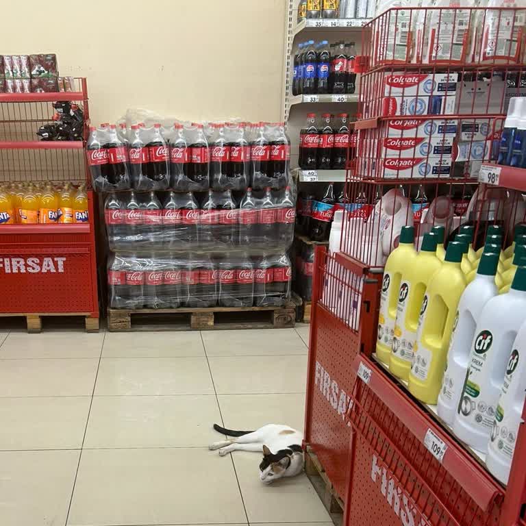 Çanakkale Merkez Şok Marketler Hijyensizliği
