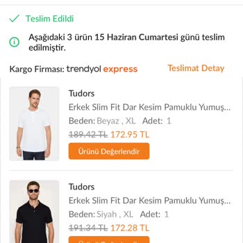 Trendyol'dan Aldığım Tudors Tişörtler Renklendi