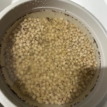 BİM Böcekli Nohut Satışı İle Karşılaştım