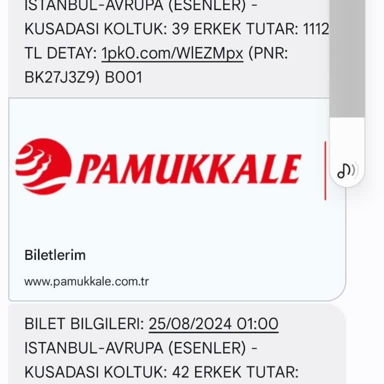 THY Unutulan Esya Kaybolmuş Sayılmıyor Mu
