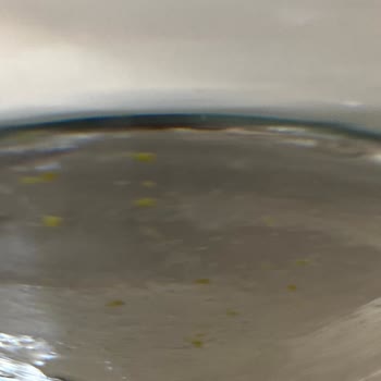 Pürsu İçinden Sarı Partiküller Çıktı