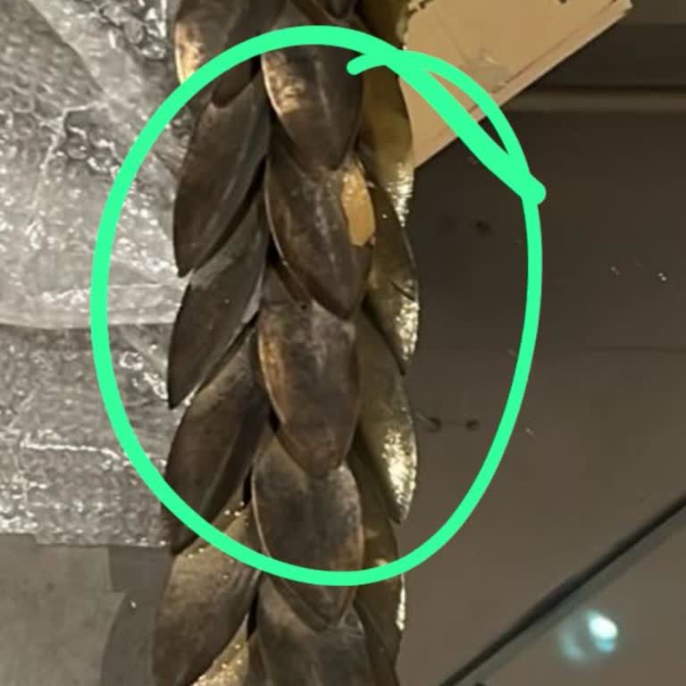 Mudo Mağazasından Aldığım Aynalarla Yaşadığım Sorunlar!