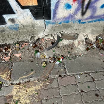 Eyüp Belediyesi Koreliler Çocuk Parkında Çocuklarımız Tehlike Altında!