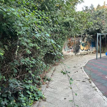 Eyüp Belediyesi Koreliler Çocuk Parkında Çocuklarımız Tehlike Altında!