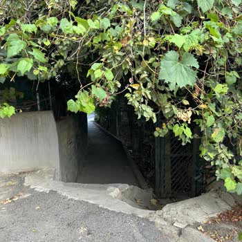 Eyüp Belediyesi Koreliler Çocuk Parkında Çocuklarımız Tehlike Altında!