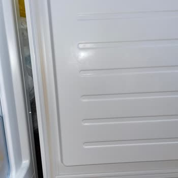 Bosch Buzdolabı Lastiği Sarardı